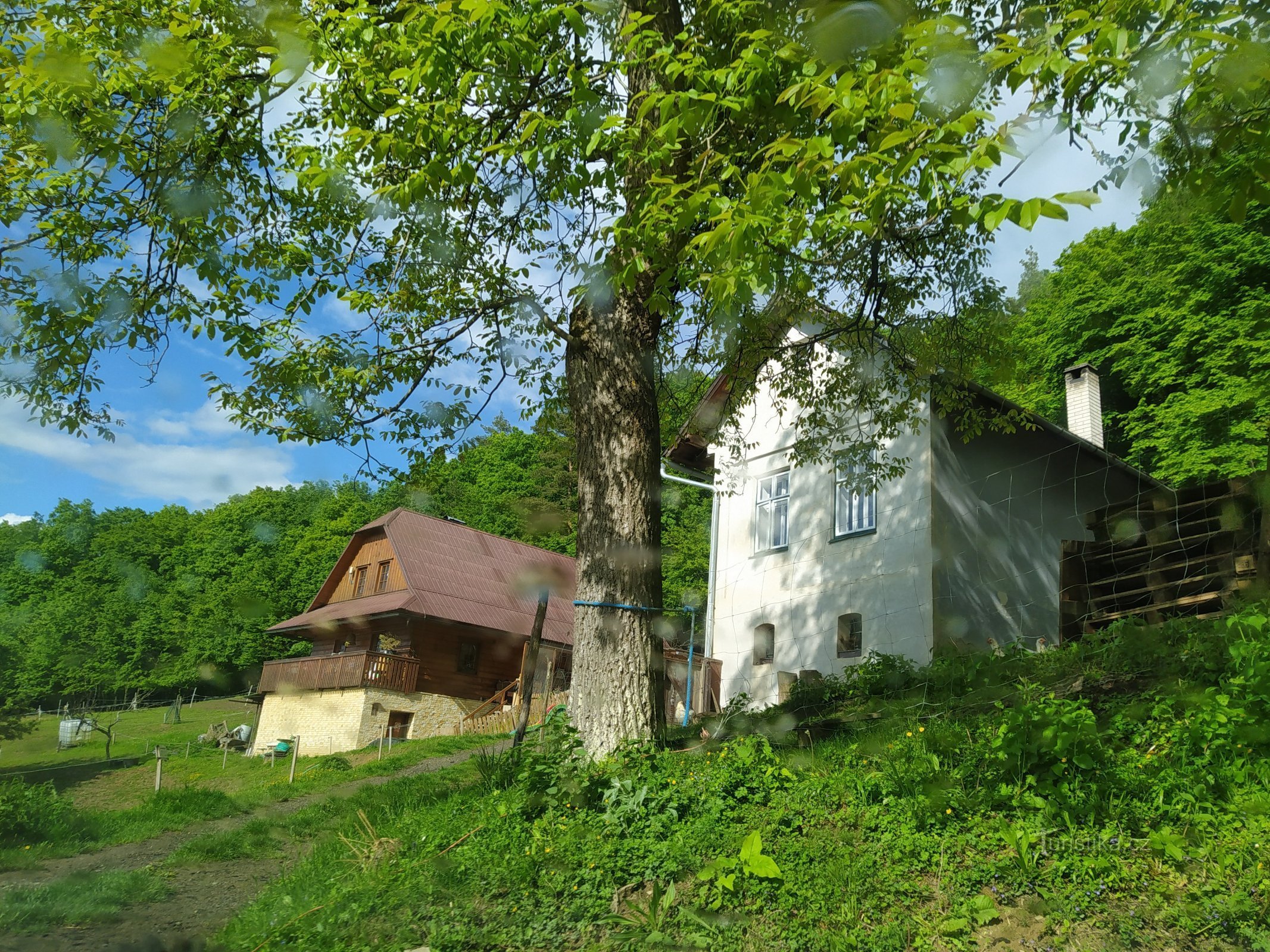 На ранчо з Робінсонами