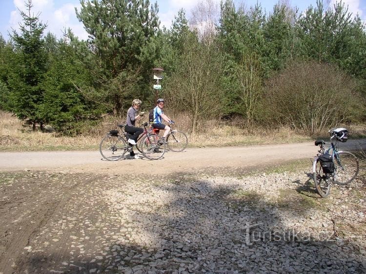 Op het kruispunt in Špitálské les