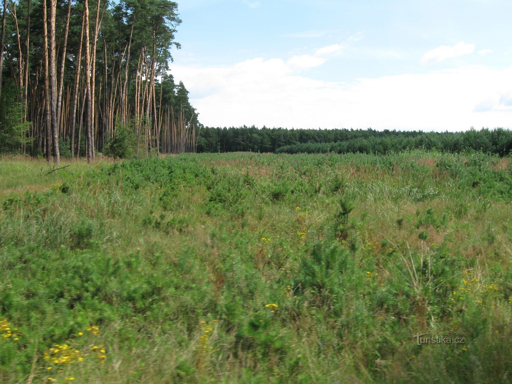 Na Rudnik in nazaj