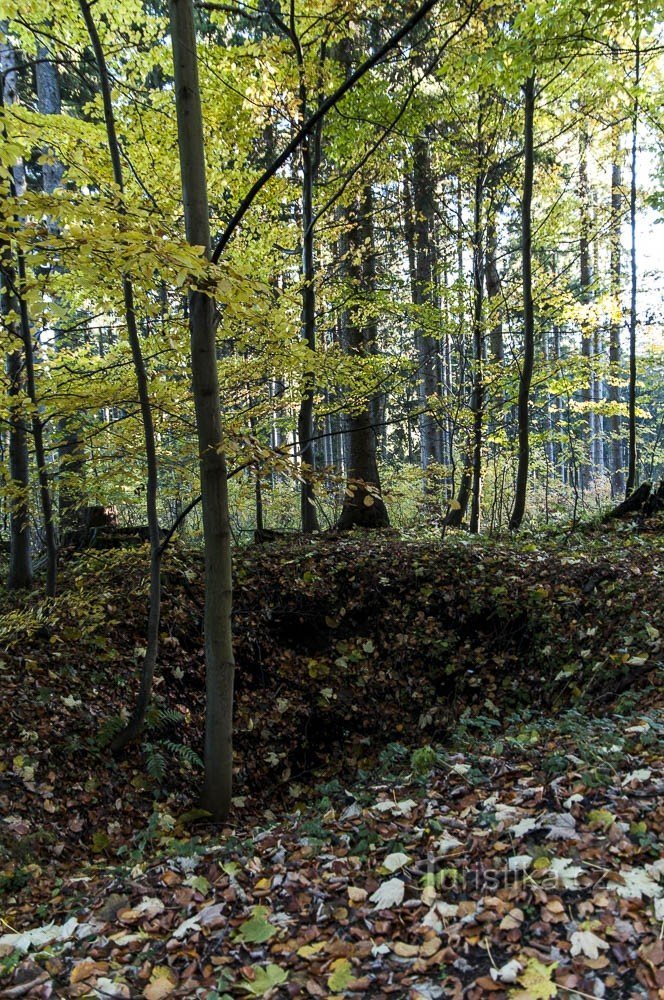 Vom întâlni deja diverse gropi în apropiere de Rejvíz