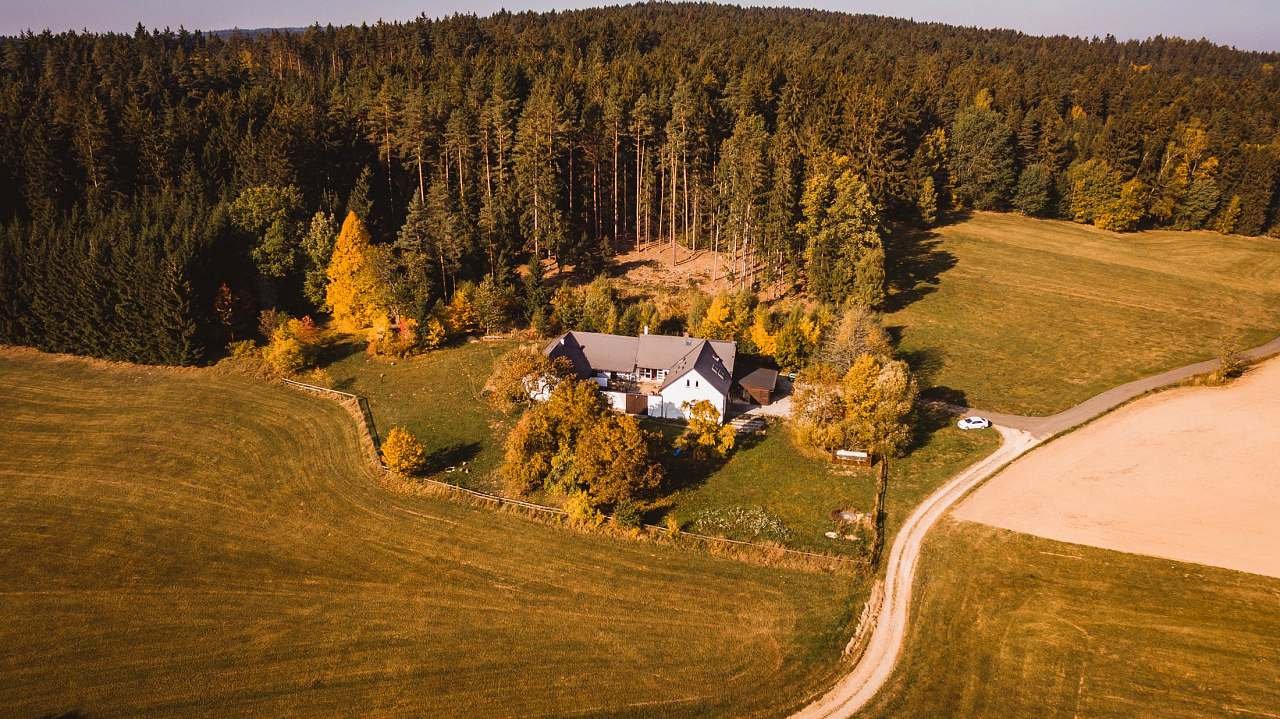 In solitudine nella foresta di Kamenice nad Lipou