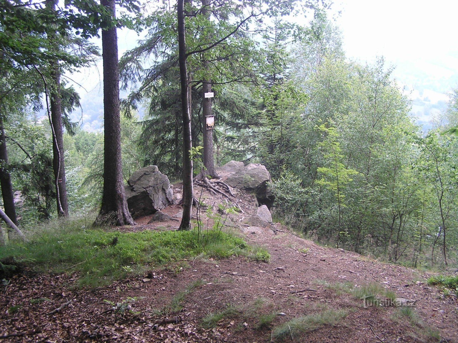 Auf den Felsen