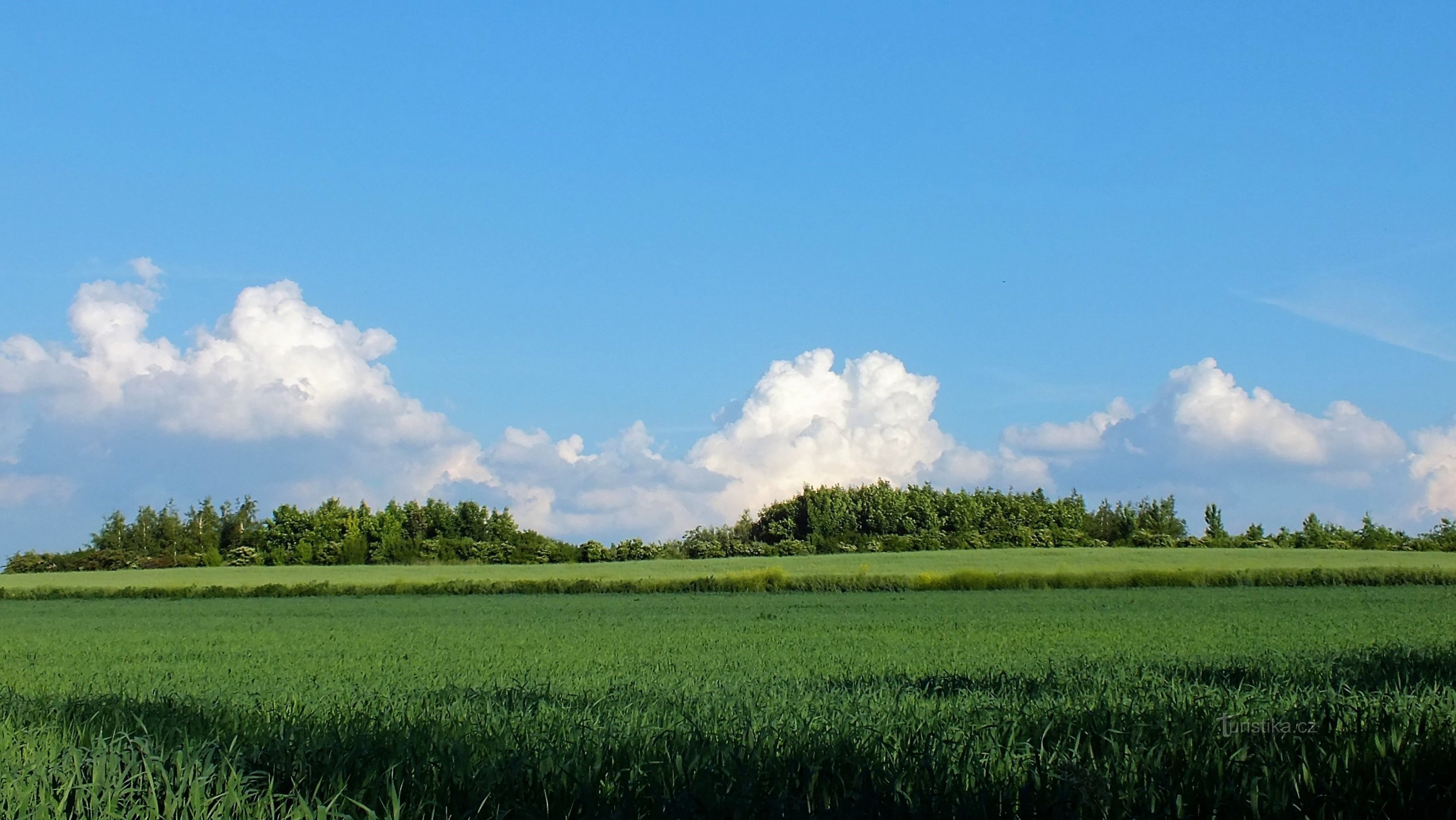 Sur Skalice depuis Středokluk depuis le nord-ouest