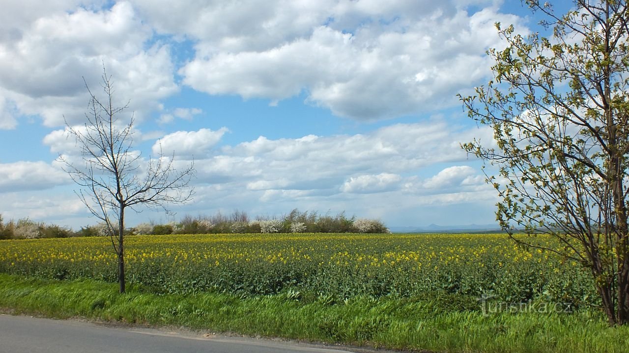 Sur Skalice depuis Tuchoměřice