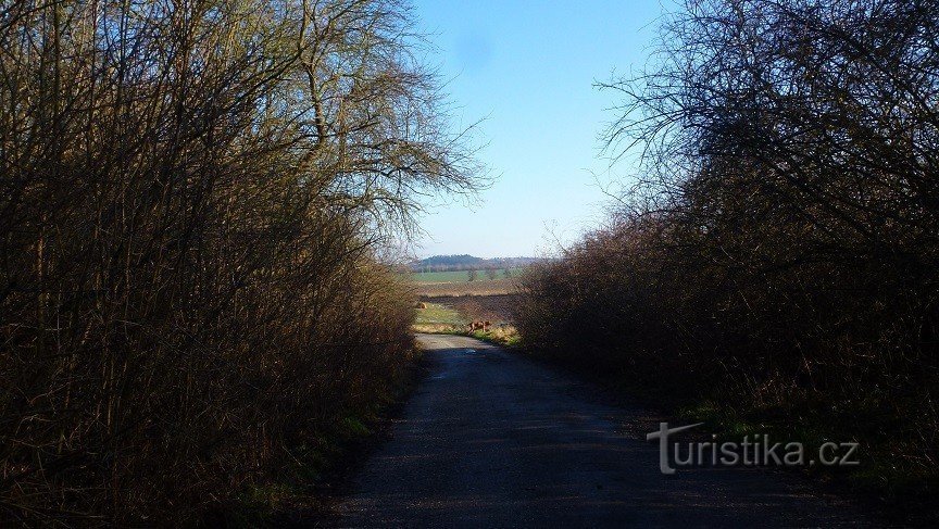 Op Skalky (uitzicht op Škudly)