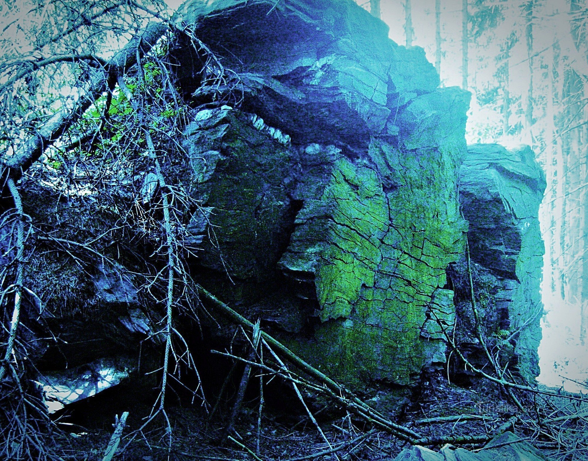 Auf den Felsen