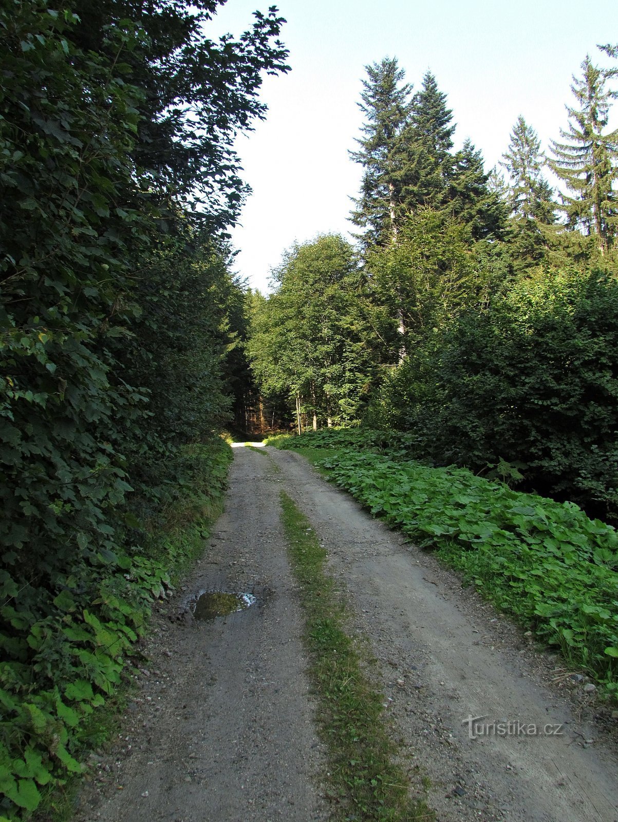 op de parallelroute van NS Česká Ves en gele toeristische markeringen