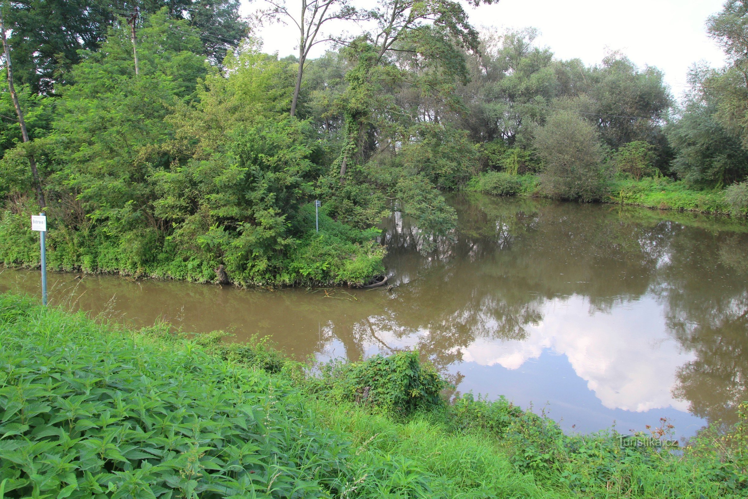 At the confluence of the river Svratka and the river Bobrava