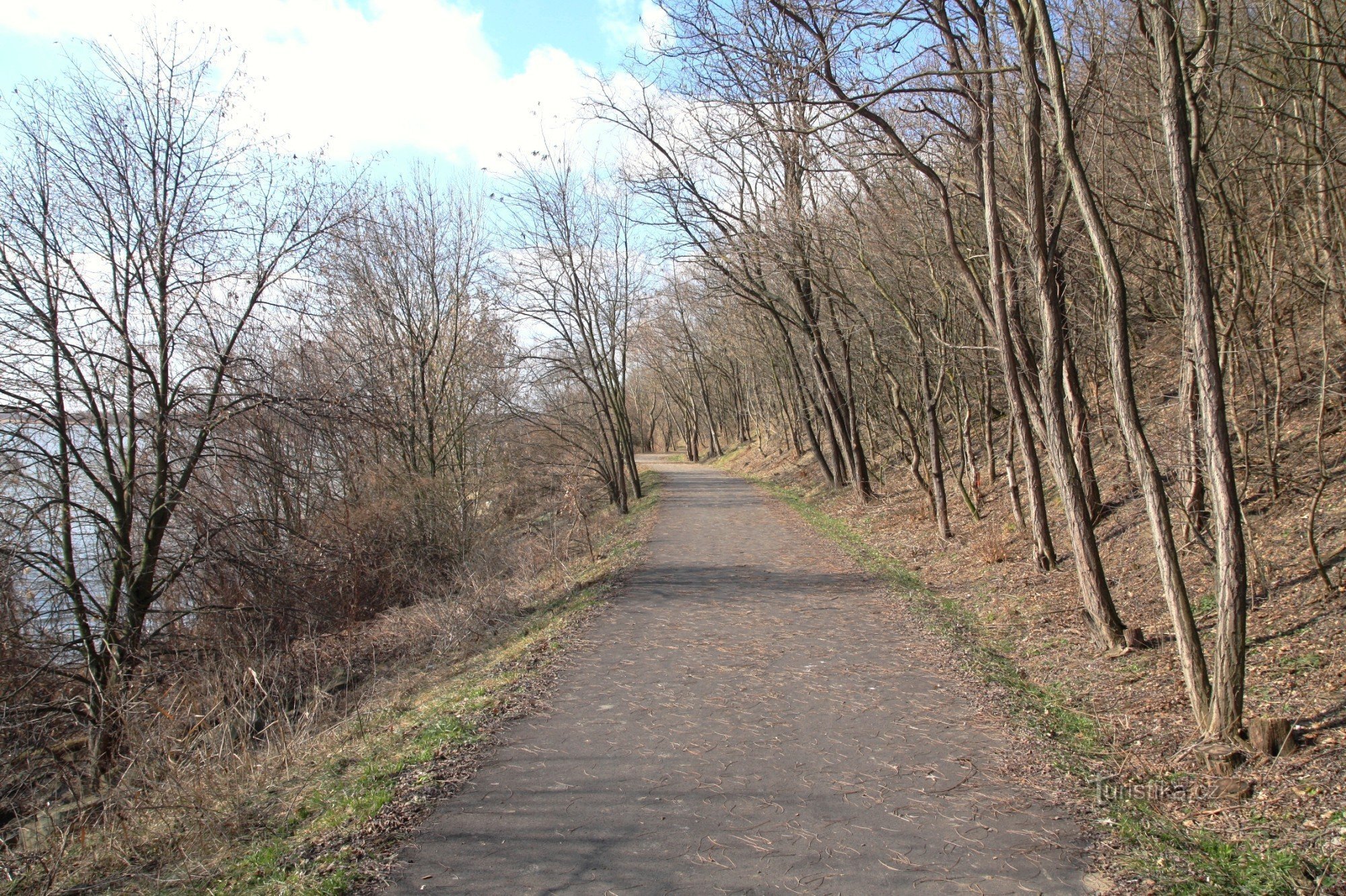 Auf dem Radweg