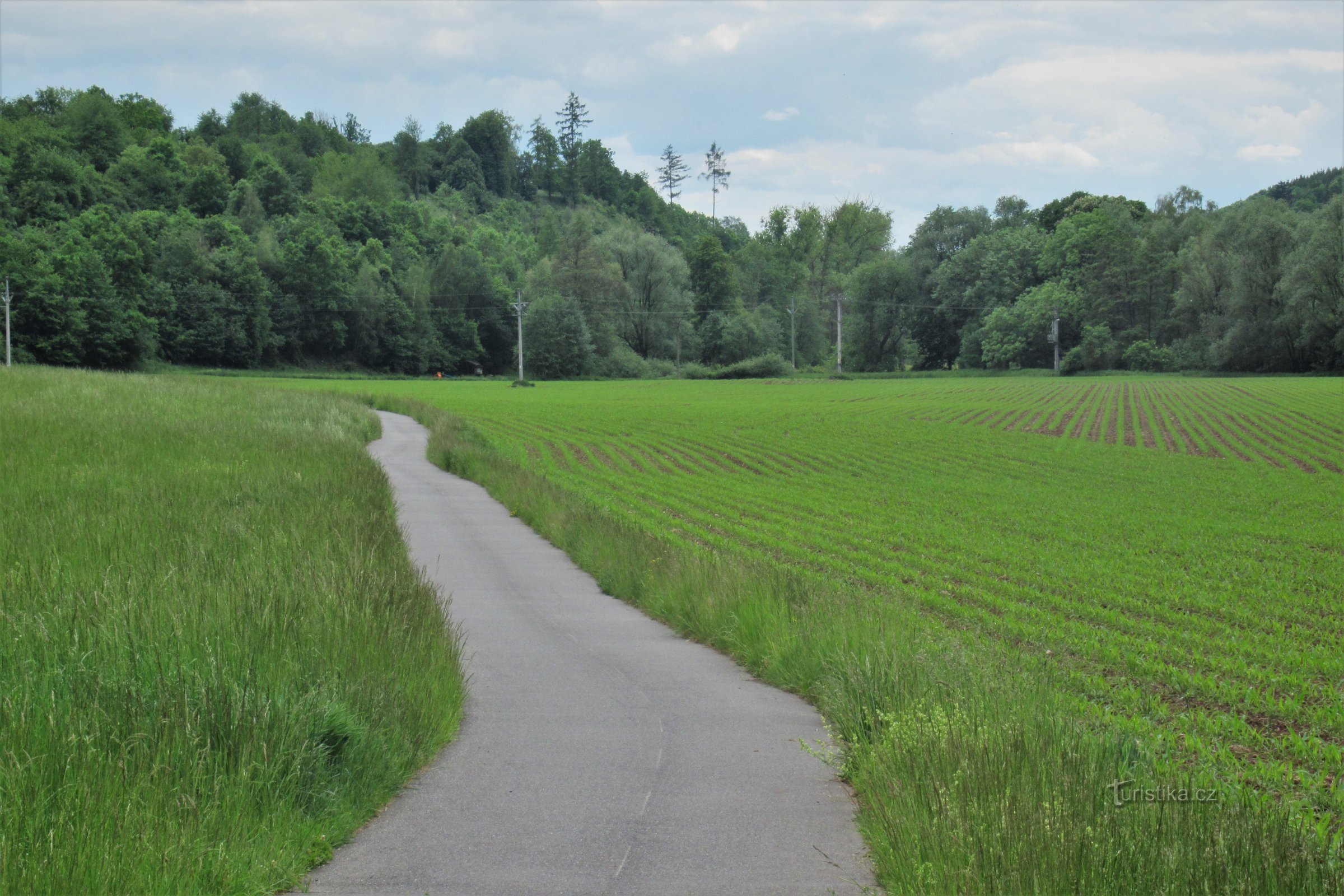 Sur la piste cyclable