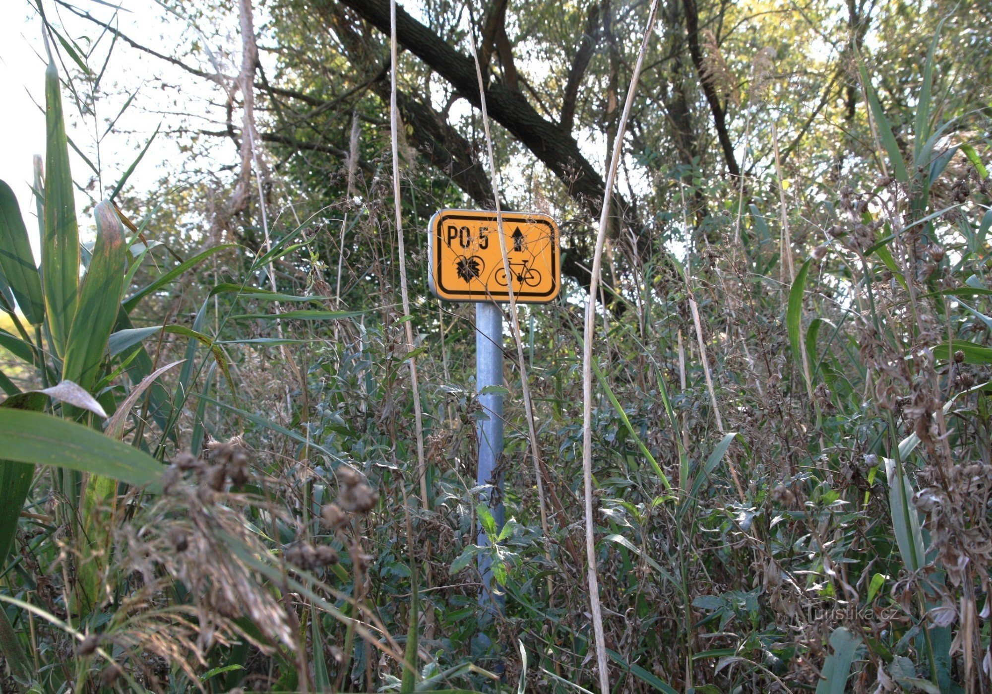 Sur le tracé de la piste cyclable Popic