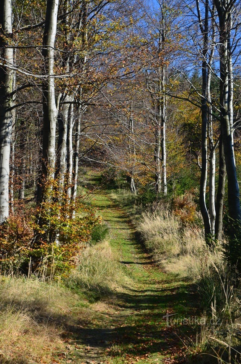 Sur la route en direction de Dlouhá