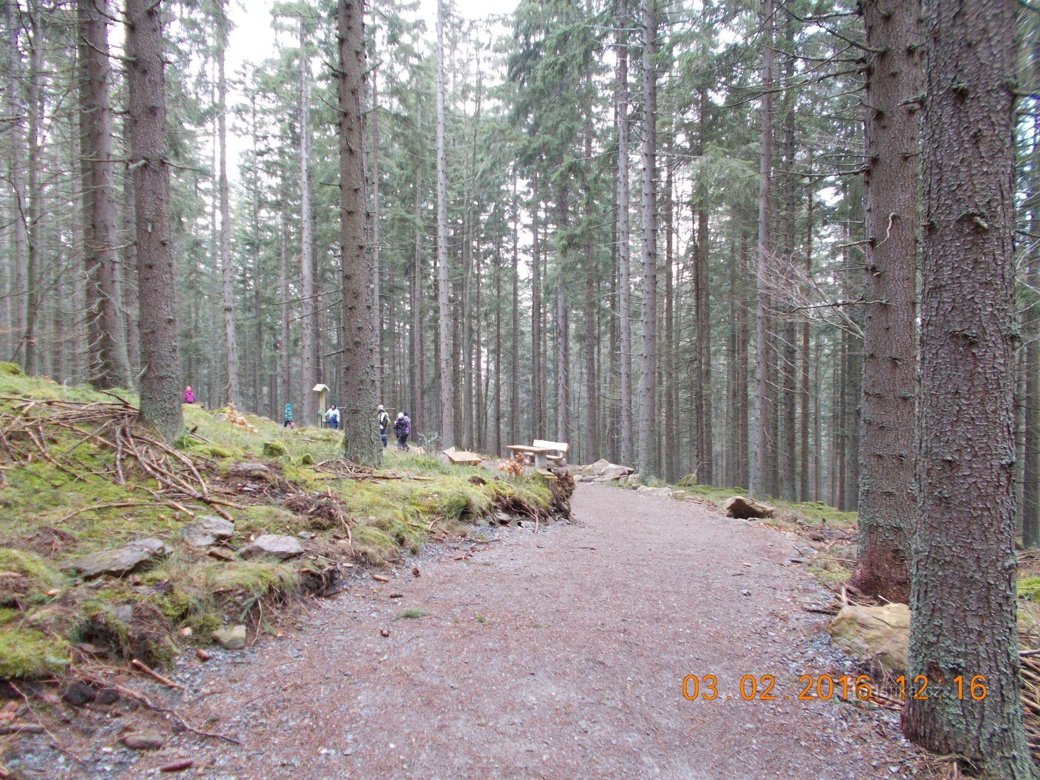 Auf der Spur des Wolfes