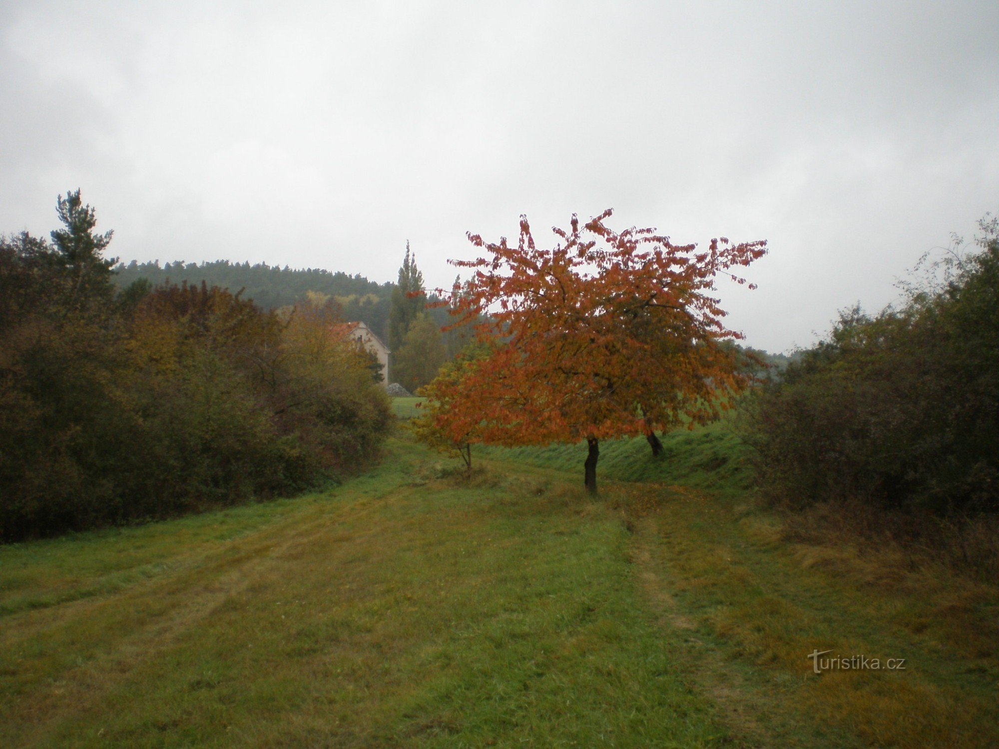 Sur les collines