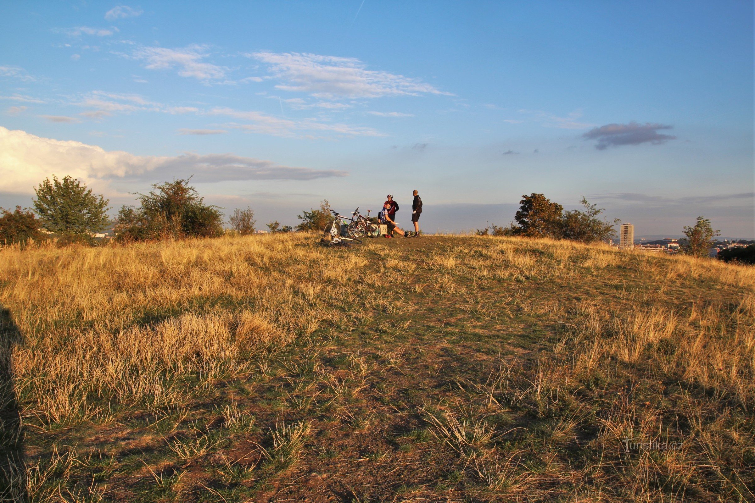 At the top of the Little Hill