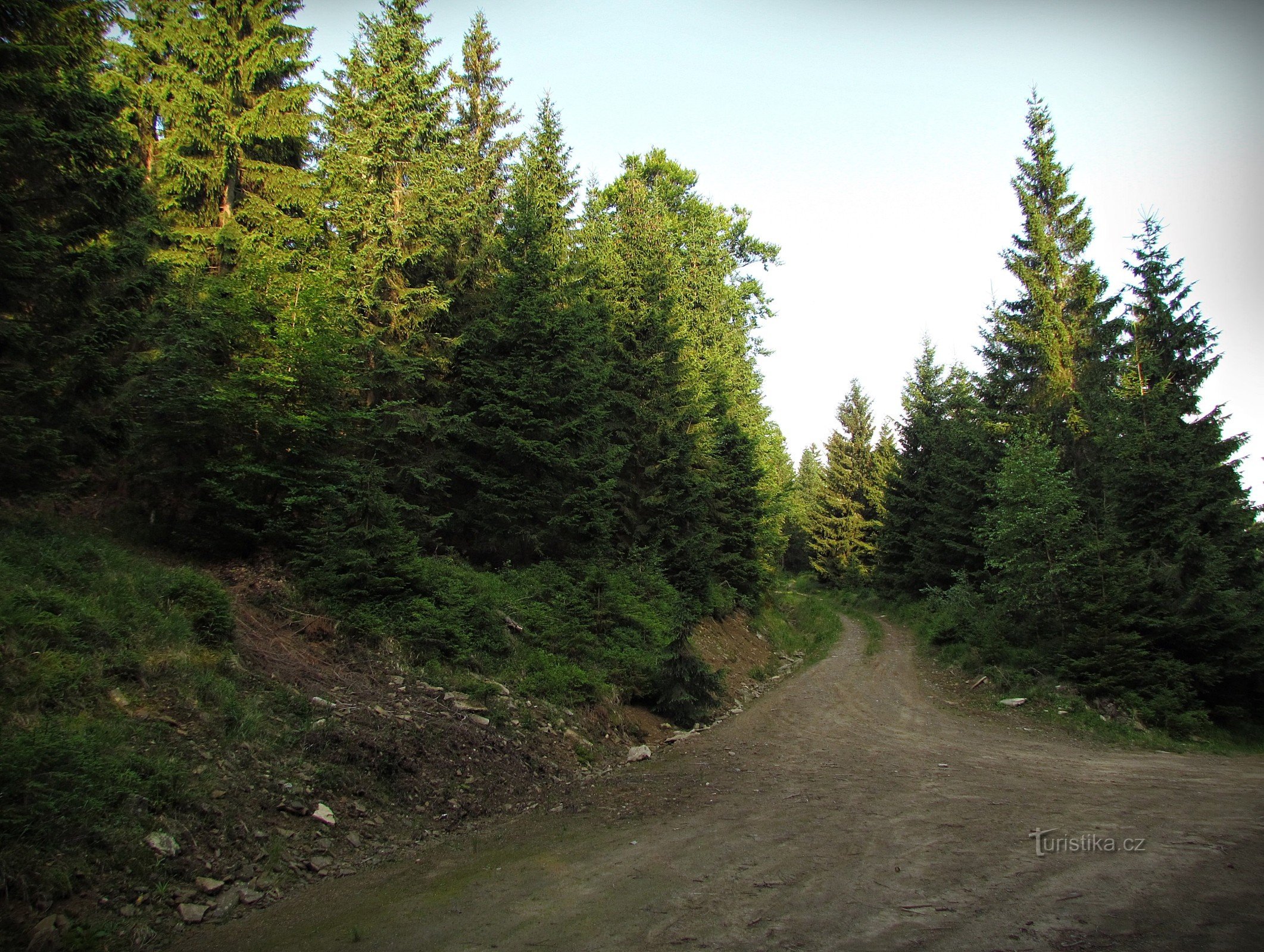 切尔纳斯特拉纳 (Černá strána) 山峰下方的轮廓道路上