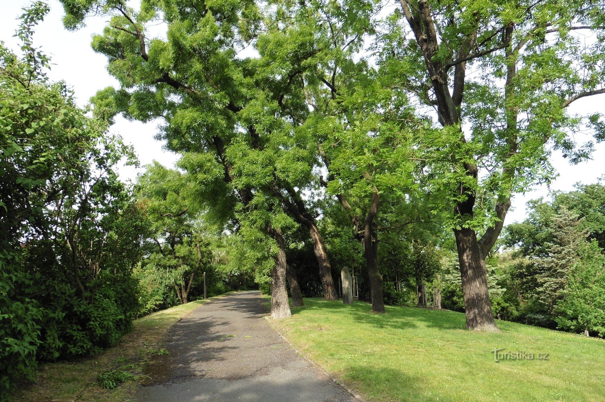 sur la Colline du Château