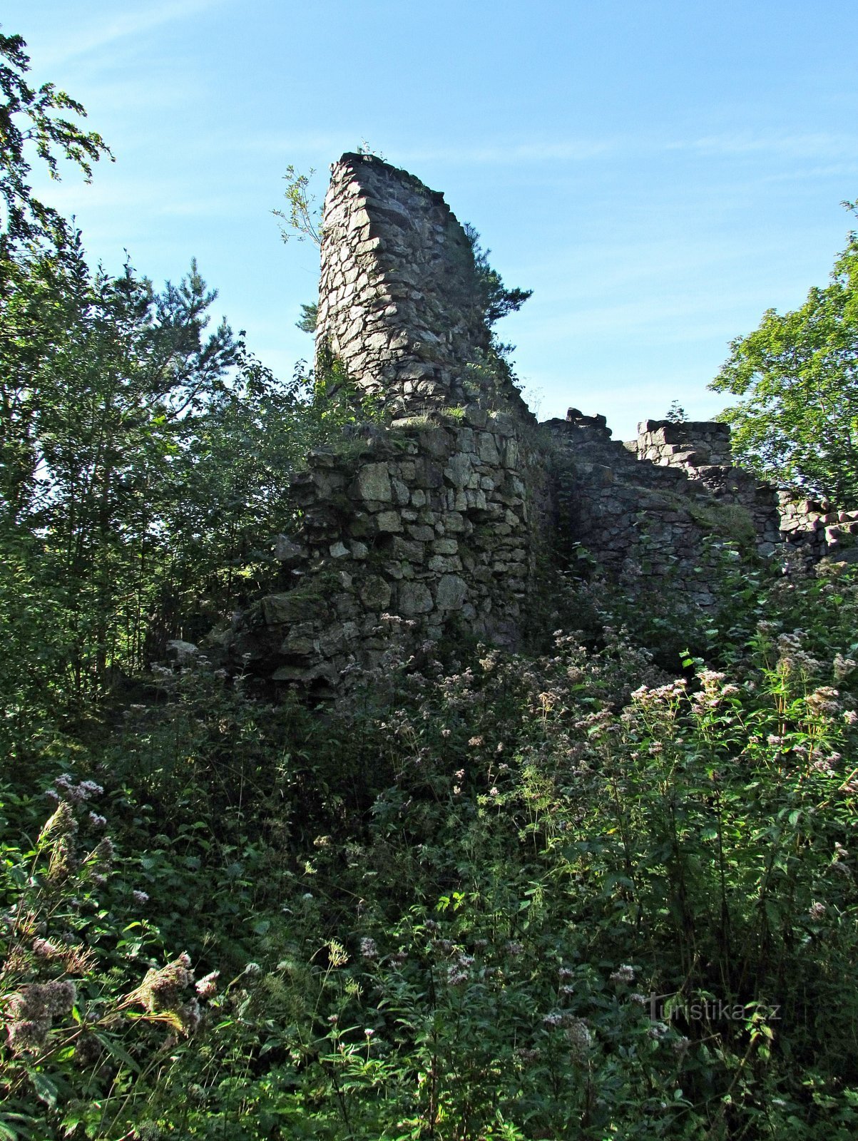 Vid ruinerna av Rychleby slott