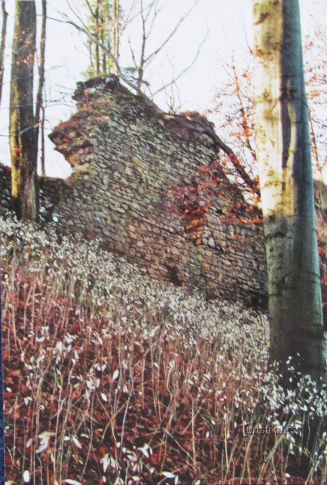 Para as ruínas do castelo e a rocha em Obřany (2006)