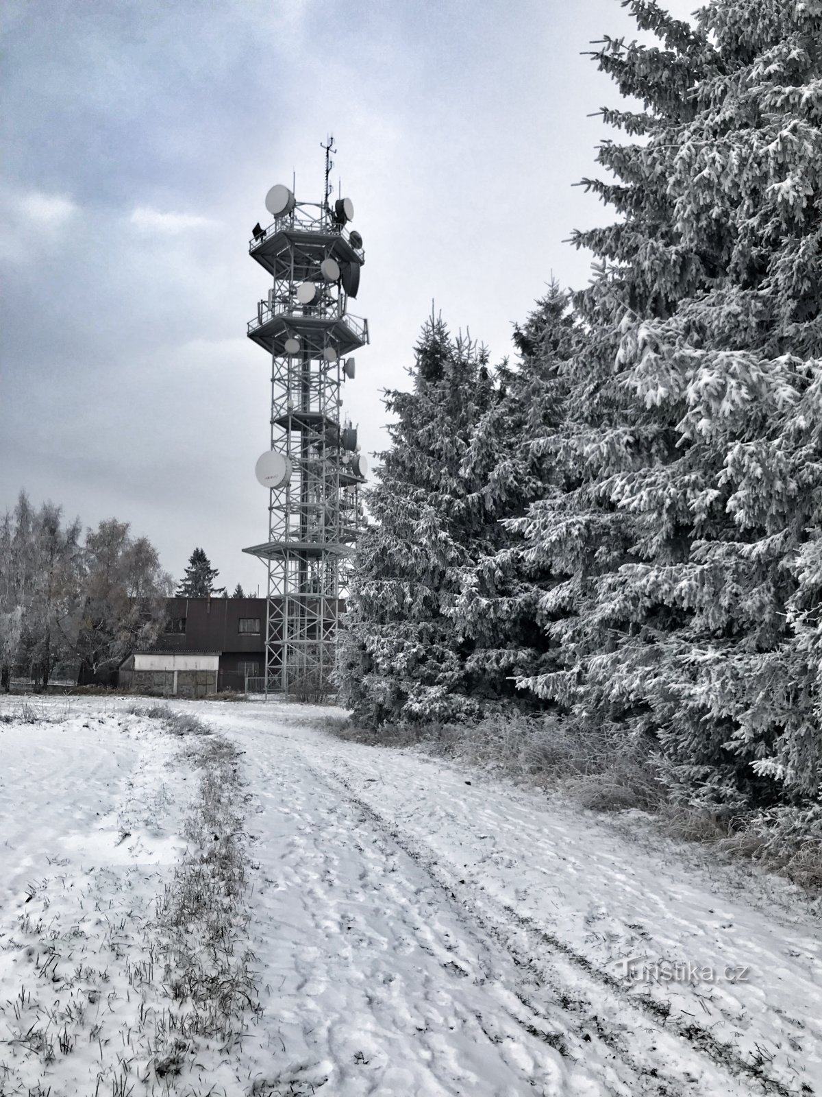 A Zvičina da Třebihoště