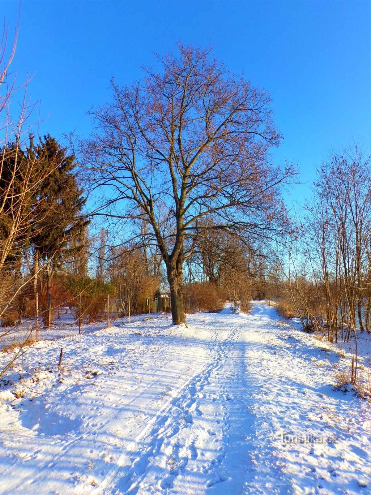 El terraplén del Elba en Rybaren (Hradec Králové, 21.1.2022)