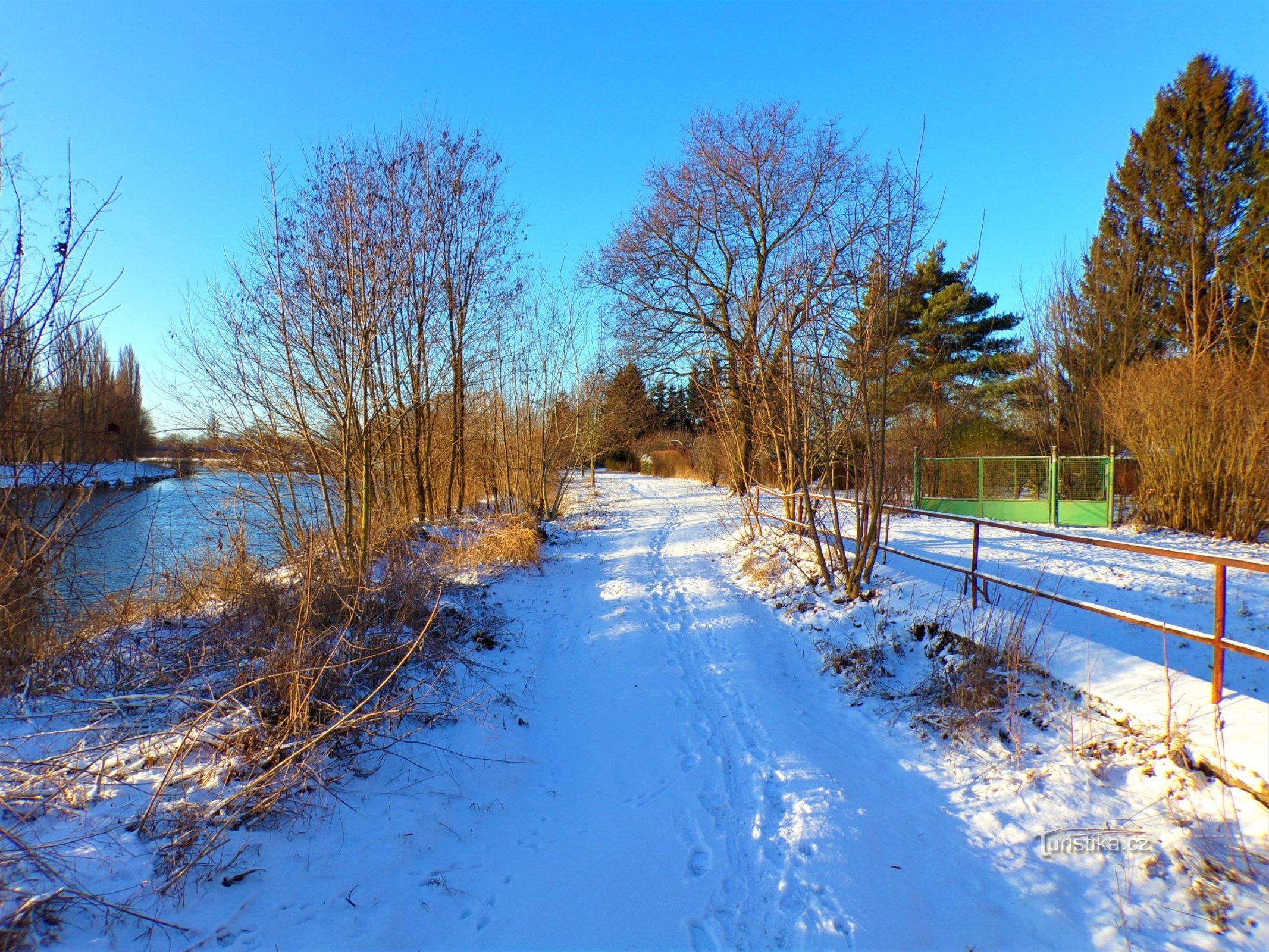 The Elbe embankment at Rybaren (Hradec Králové, 21.1.2022)