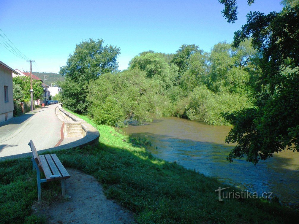 Veverská Bítýška 的 Svratka 路堤