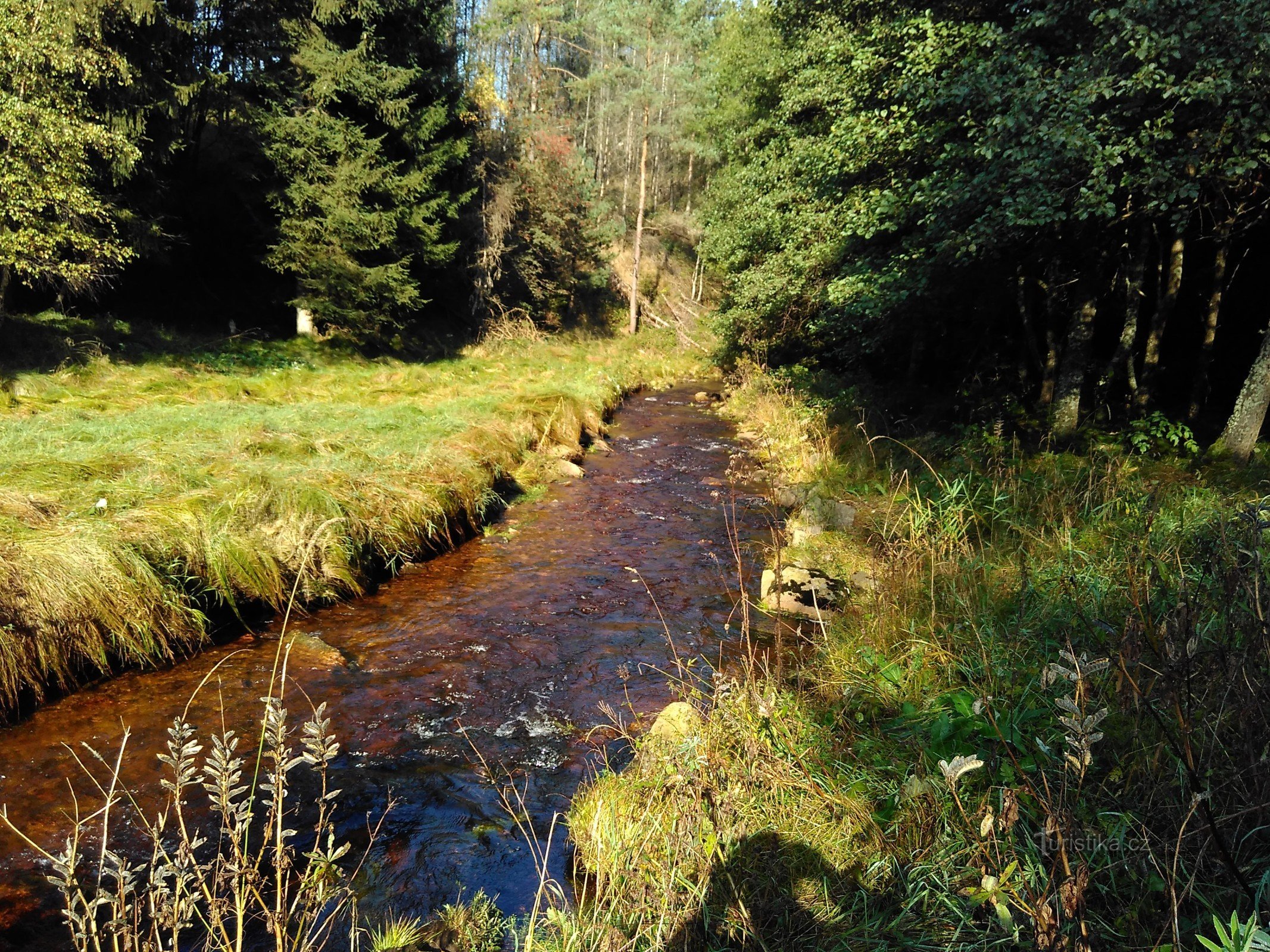 Načetín stream