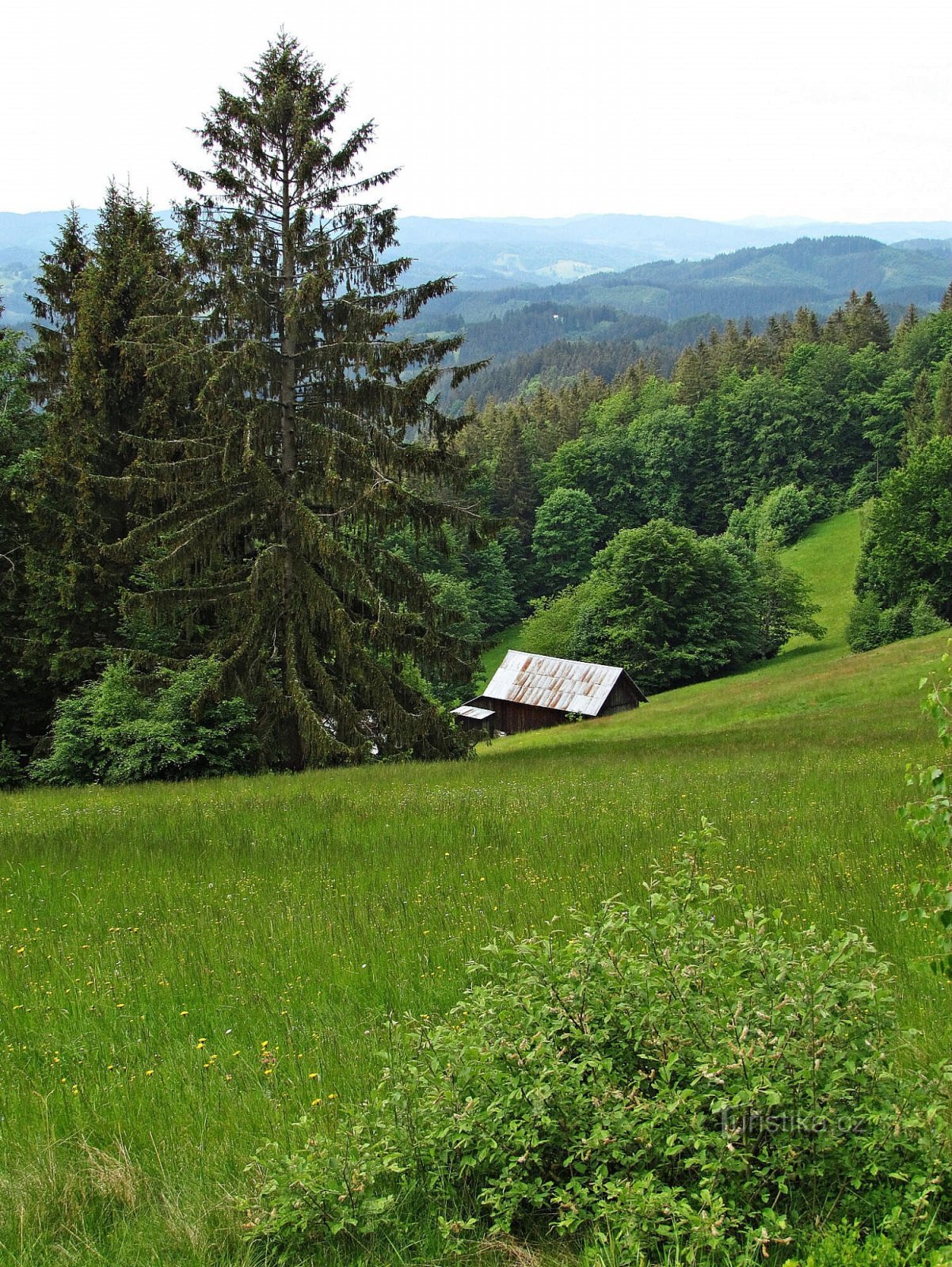 Acima de Beneški