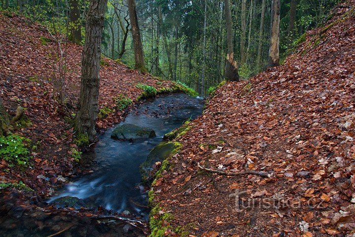 au-dessus de la confluence de Castor