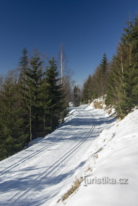 Nad szopą Bochnera