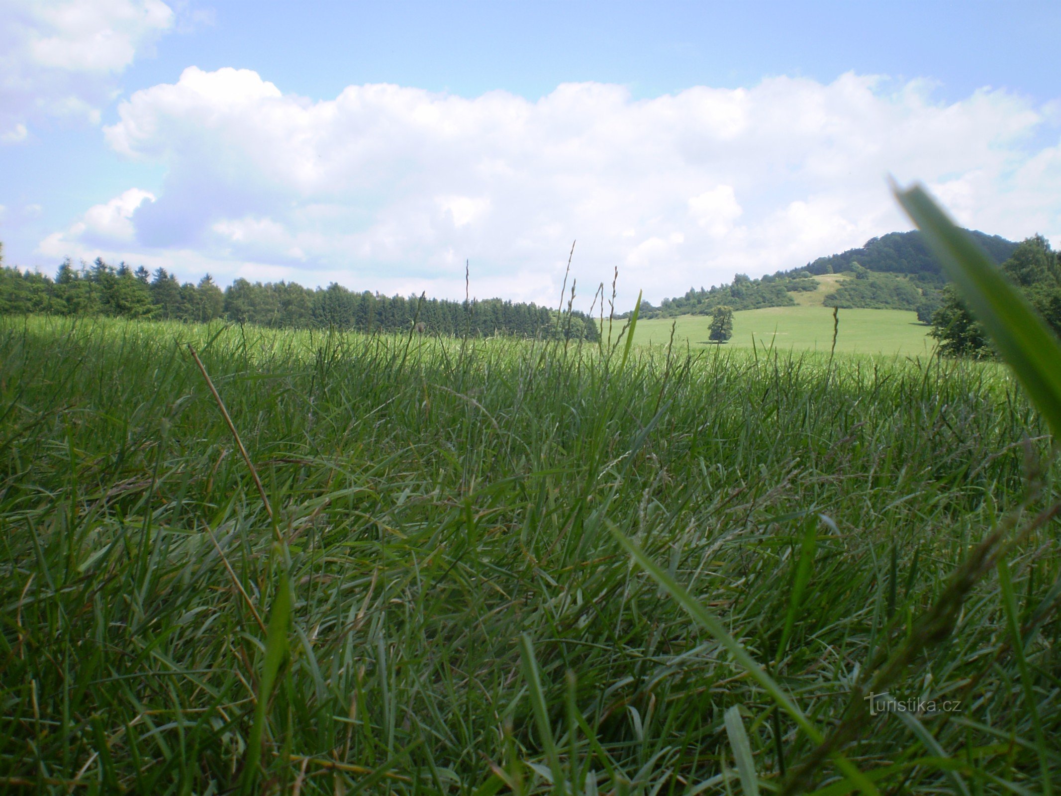 Trên Česká Kamenice