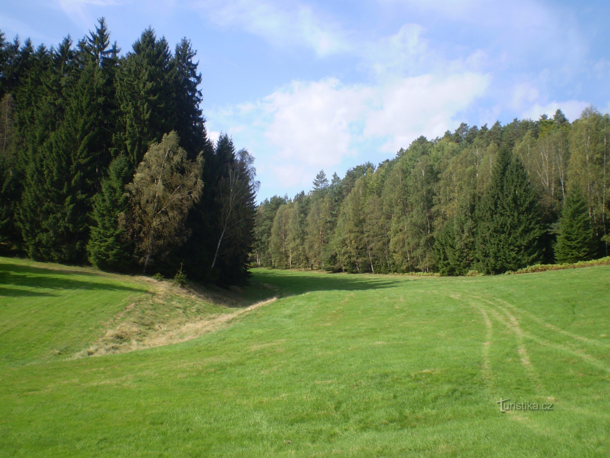 Powyżej Jetřichovic