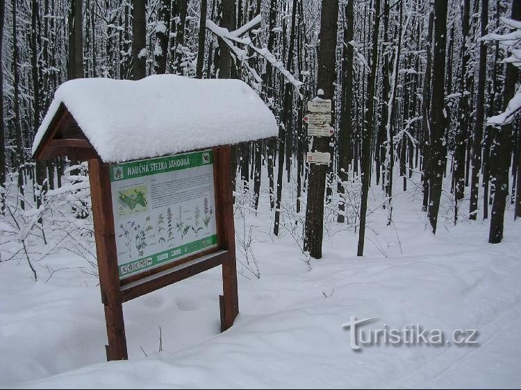 Kalištěn yläpuolella