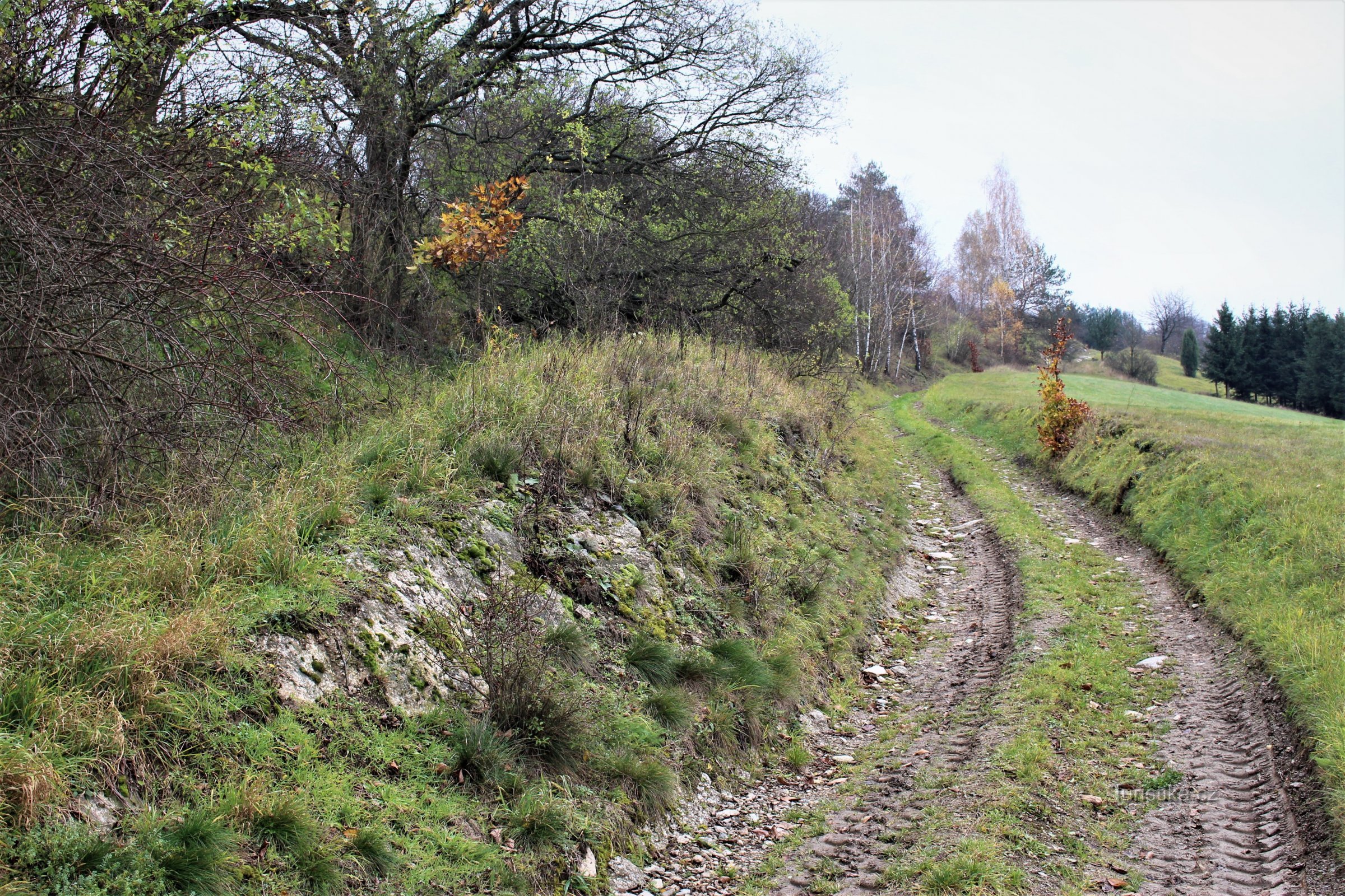 Ovanför poolen - ett naturmonument