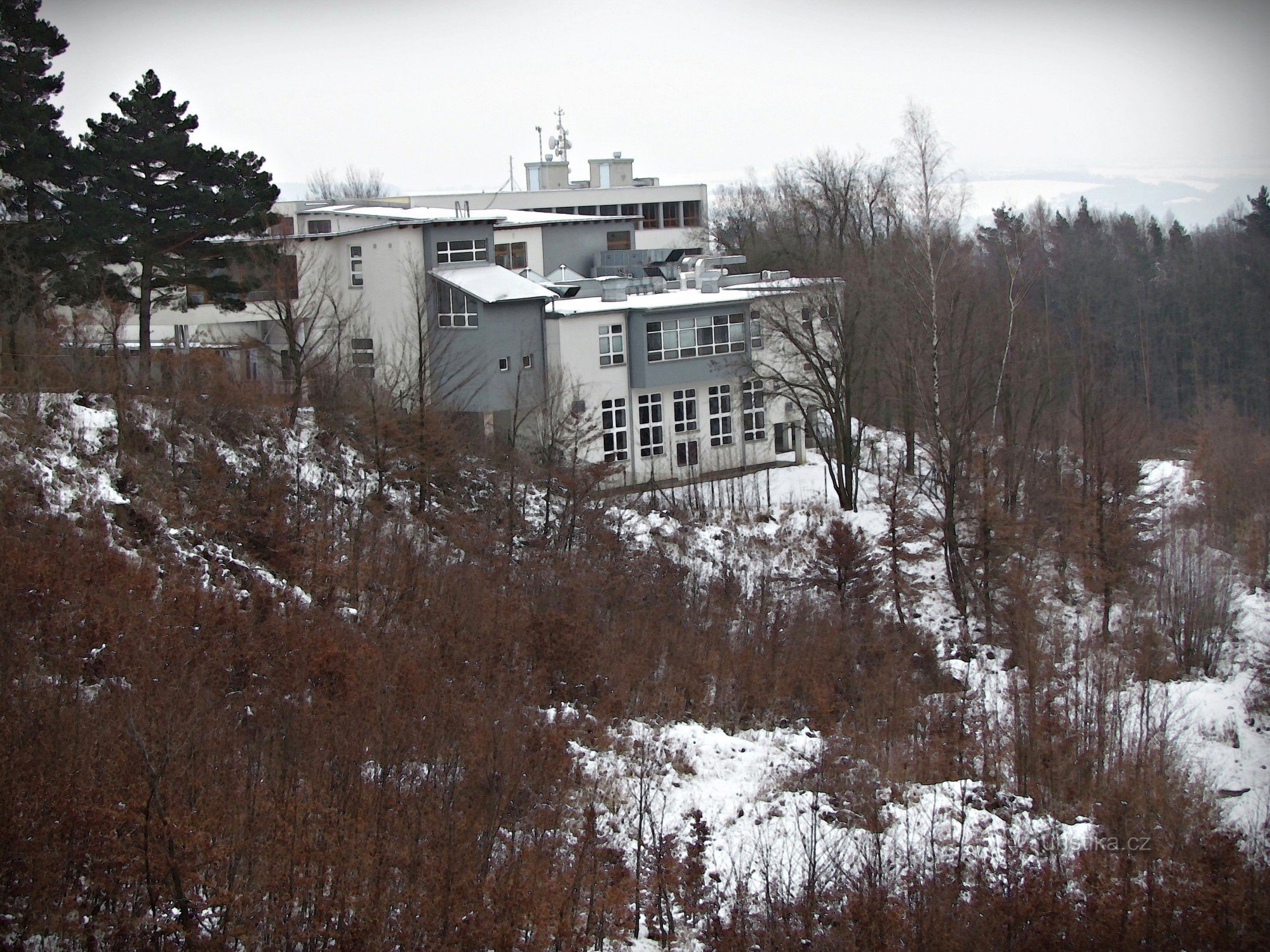 ovanför Skogsdistriktet