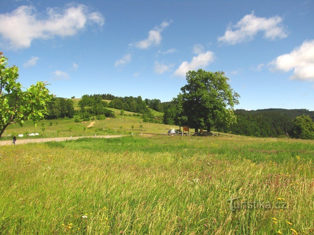 Nad Nedašovą Lhotą - przełęcz, rozdroże, punkt widokowy - do wyboru