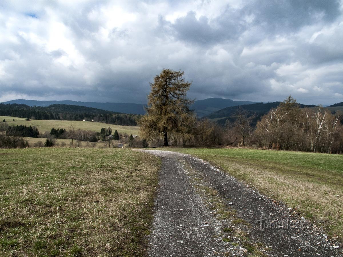 Above Písařovský sedlom