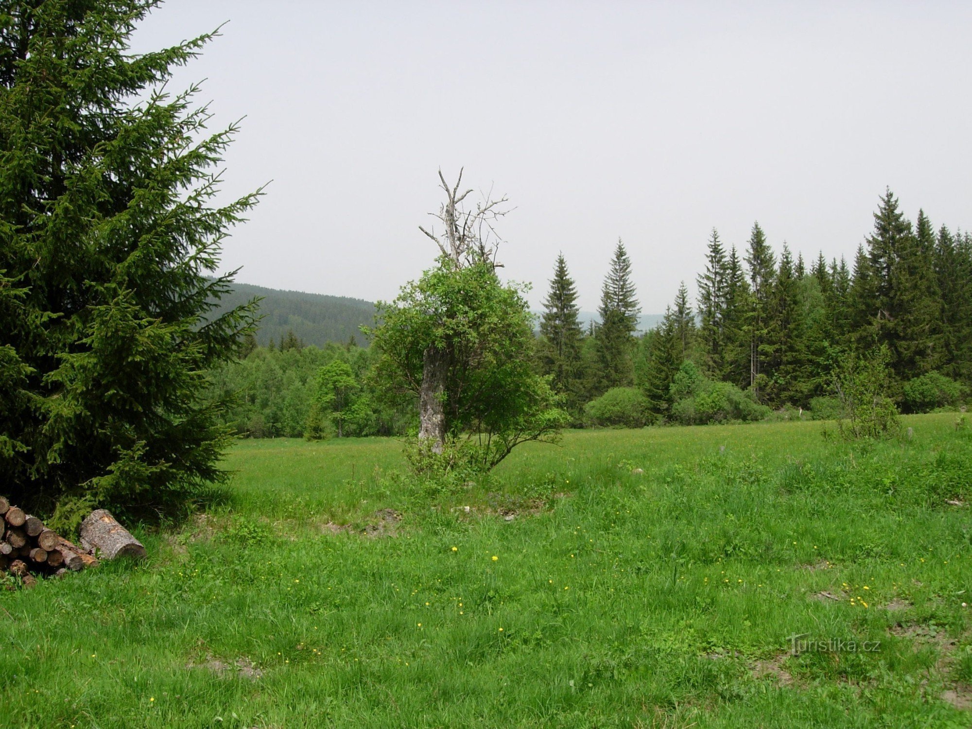 Above Prášyly