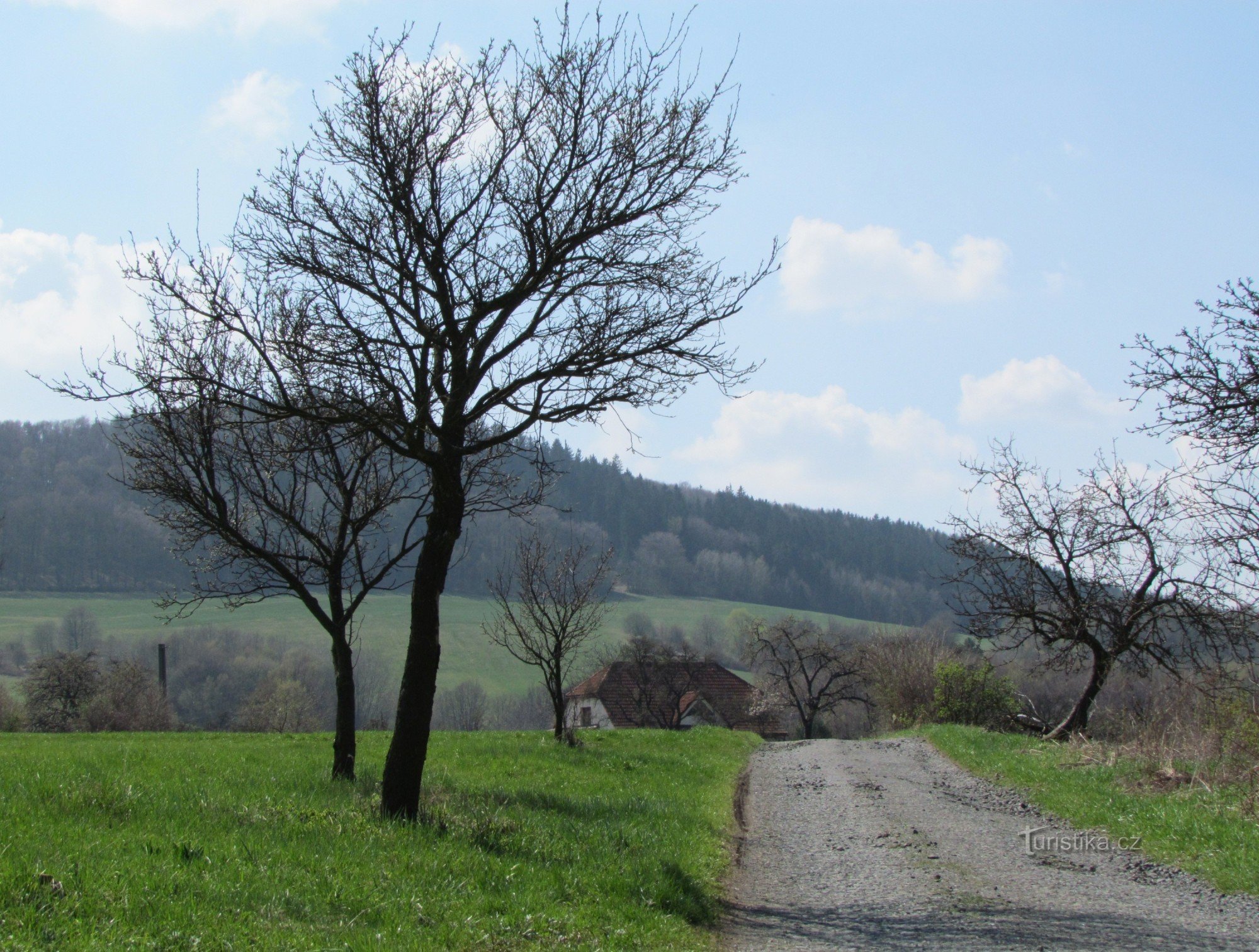 čez Provodov