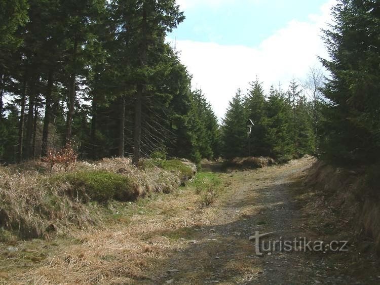 Nad Ruským údolím ( východní roz.)