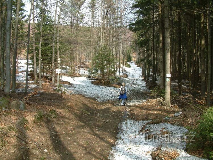 Oberhalb Schindlerov pr.