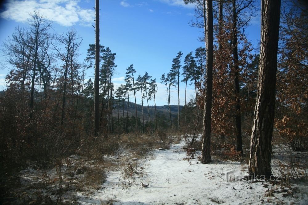 boven Šulák