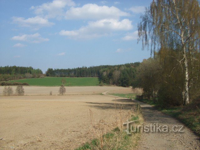 Above Vokačovský pond