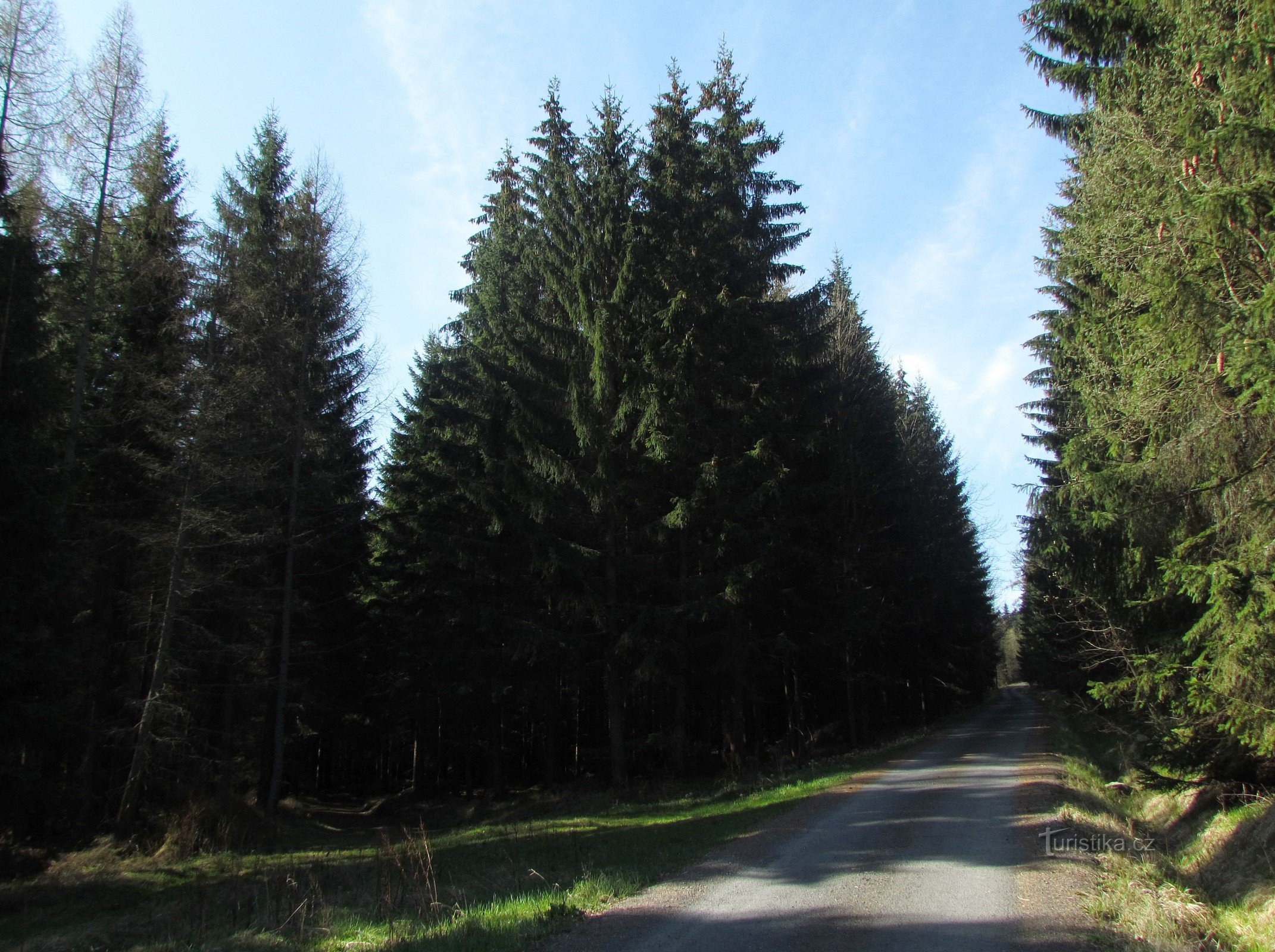 above the Žďárské stream