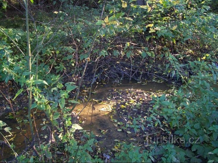 Nadějovský stream: View of Nadějovský stream