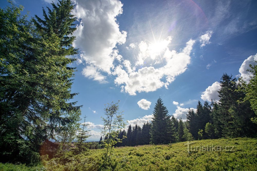 A gyönyörű Šumava természet végigkíséri az utat