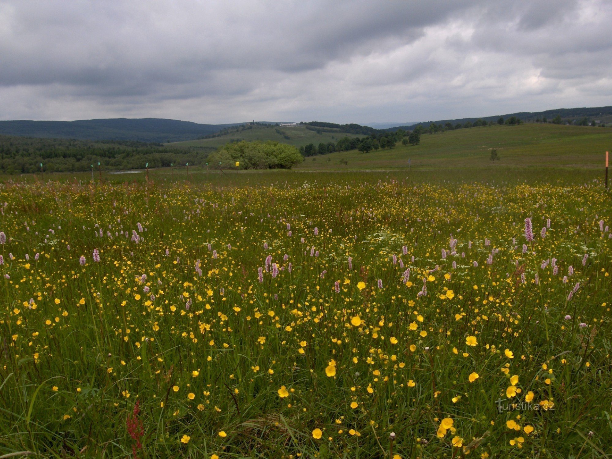 beautiful meadows of the Ore Mountains