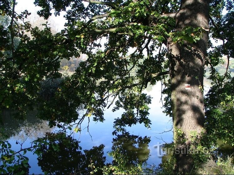 Lago da estação