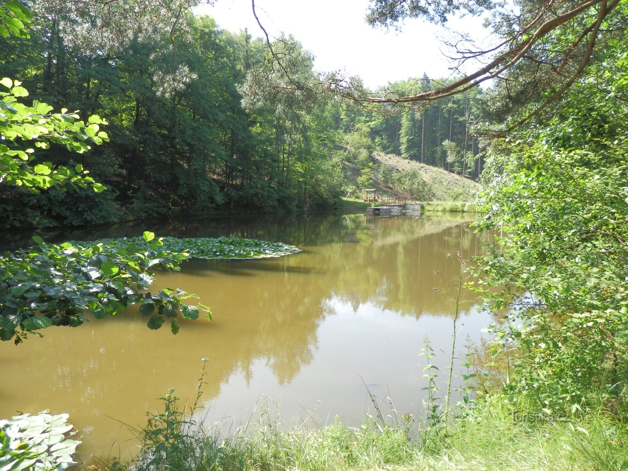 Nashornvogel-Brunnenreservoir